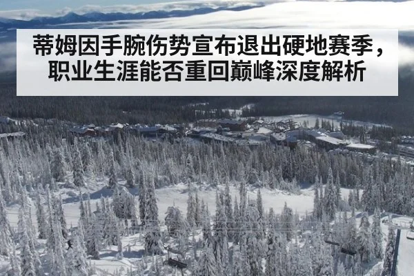 蒂姆因手腕伤势宣布退出硬地赛季,职业生涯能否重回巅峰深度解析